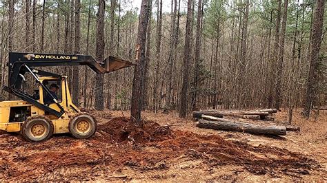 skid steer digging up trees|pushing over pine buckets.